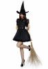 Bewitching Witch Fancy Dress Outfit