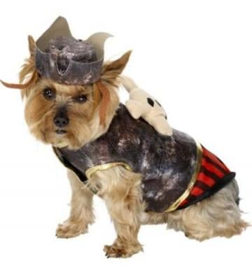 Pirate Pooch Costume