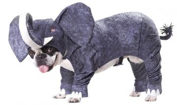 Animal Planet Elephant Dog Costume