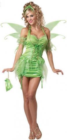 Tinkerbell fairy costume