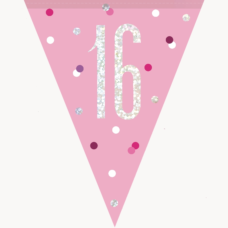 16th Birthday Flag Banner Glitz Pink