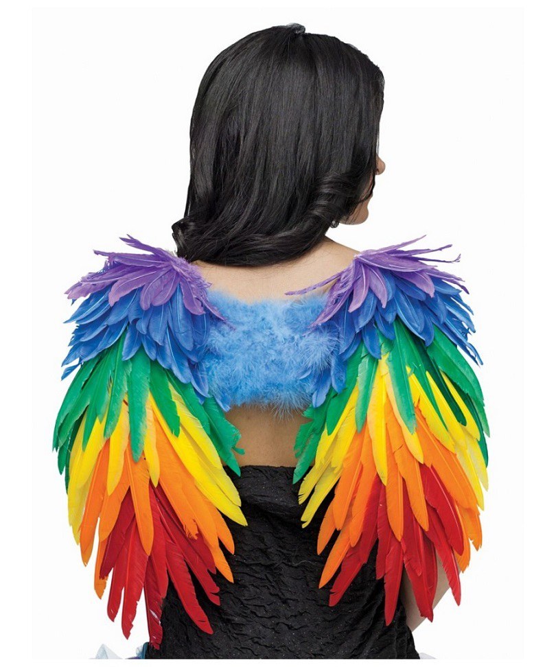 Rainbow Feather Angel Wings Large Fancy Dress Costume Accessory 
