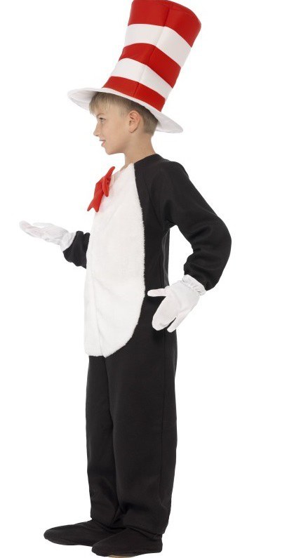 cat in the hat costume ireland