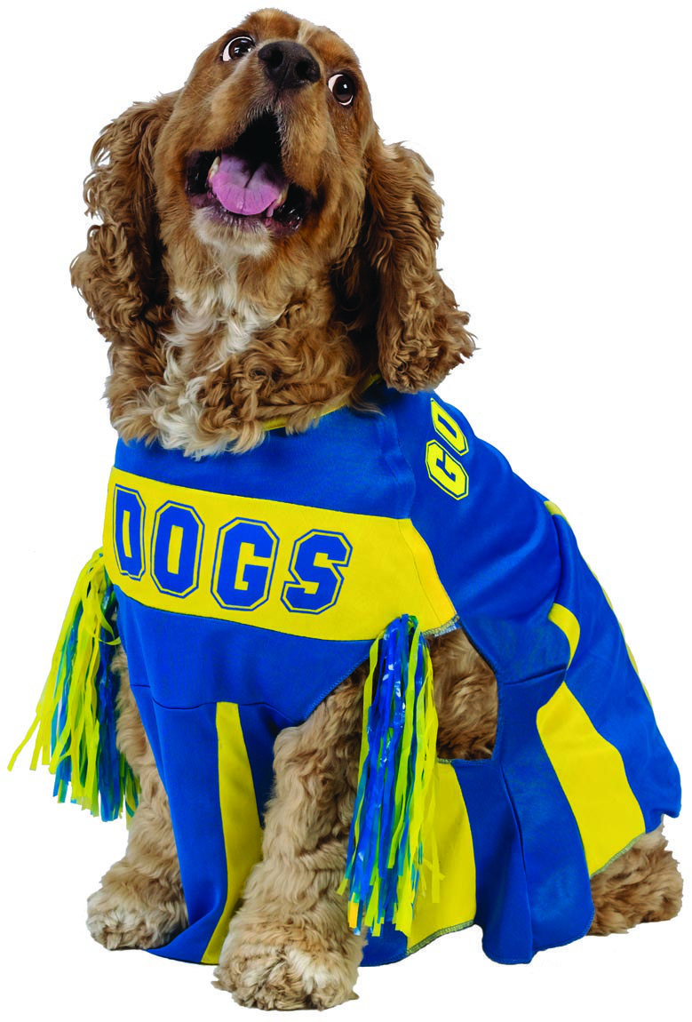Cheerleader Dog Costume
