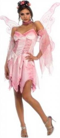 Sugar Plum Fairy Costume