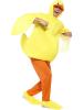 duck costume