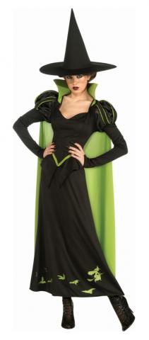 wicked witch costume