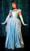 Ladies Cinderella Costume