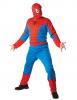 Spiderman Costume