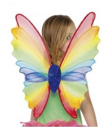Rainbow butterfly Wings