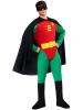 Robin Costume