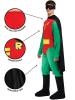Robin Costume