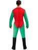 Robin Costume back