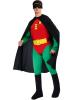 Robin Costume