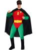 Robin Costume