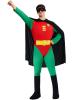 Robin Costume