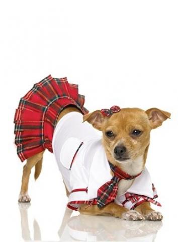 School Puppy Costume