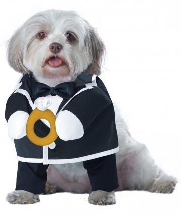Puppy Love - Pet Groom Costume