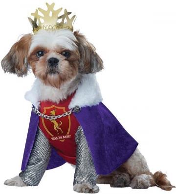 King Of Bones Pet Costume