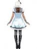 Alice Costume