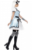 Alice Costume