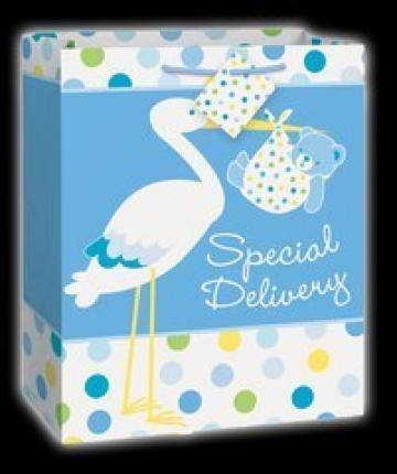 Baby Boy Stork Gift Bag