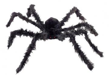 Giant hairy spider