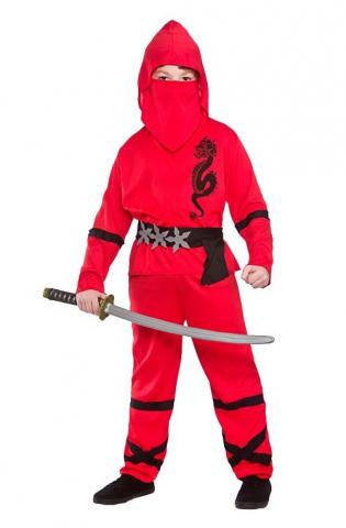 Power ninja costume