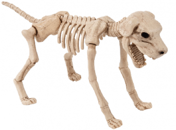 Skeleton dog