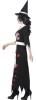 Zombie Salem Witch Costume