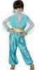 tween Arabian Princess Costume