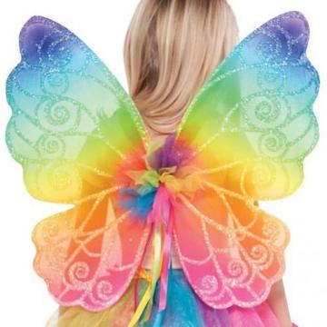 Rainbow fairy Wings