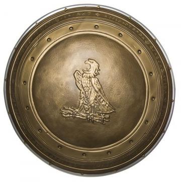 Wonder Woman Shield -  Kids