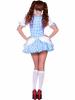 Rebel Toons Dorothy Costume