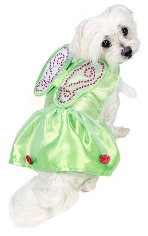 tinker bell dog costume