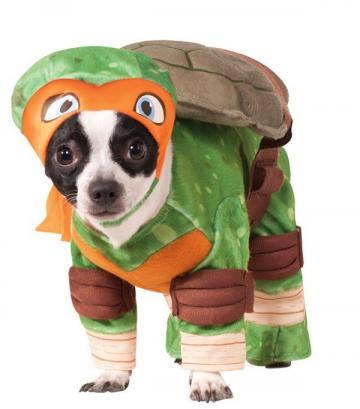 Teenage Mutant Ninja Turtle Pet Costume - michelangelo