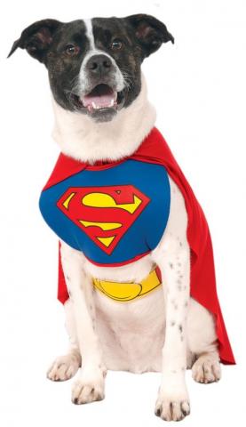 pet superman costume