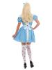 Alice in Wonderland costume