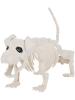 Dog Skeleton Prop