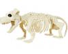 Dog Skeleton Prop