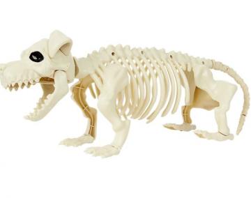 Dog Skeleton Prop