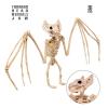 Bat Skeleton Prop
