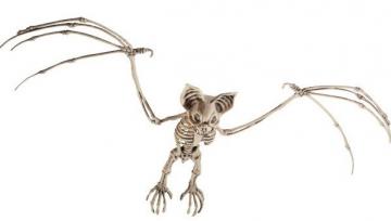 bat skeleton prop