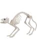 Halloween Cat Skeleton Prop