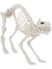 Cat Skeleton Prop for Halloween