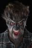 Foam Latex Werewolf Head Prostheti