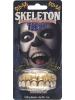 Skeleton Teeth