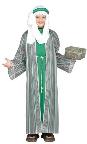 Wise Man Costume - green