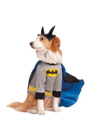 Pet Batman Costume