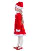 Mini Miss Santa Dress